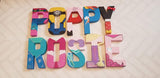 Princess Letters